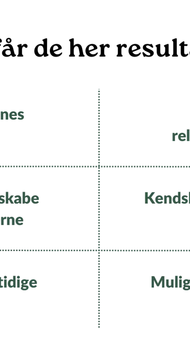 Kundeanalyse (1)
